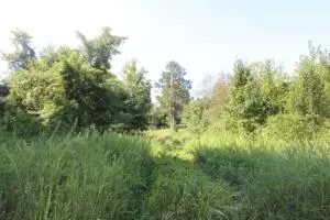 000 Capps Rd, Harrison, AR 72601