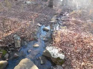 470 Nc 8400, Jasper, AR 72641 photo 3