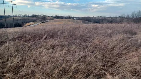 11 Acres Cottonwood Rd, Harrison, AR 72601