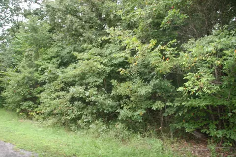 lot13 Lela - Lot 13 Ct, Harrison, AR 72601