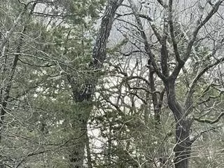 lot5 Talking Rocks Rd, Reeds Spring, MO 65737