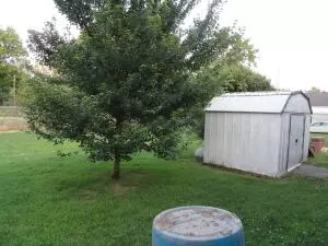 308 N Glade St, Marshall, AR 72650 photo 12
