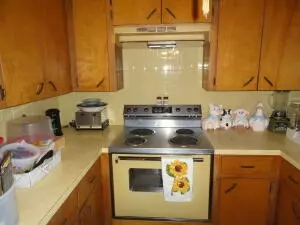 308 N Glade St, Marshall, AR 72650 photo 36