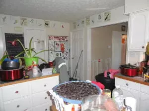 107 Nixon Hts, Marshall, AR 72650 photo 35