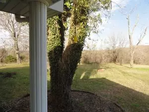 107 Nixon Hts, Marshall, AR 72650 photo 20