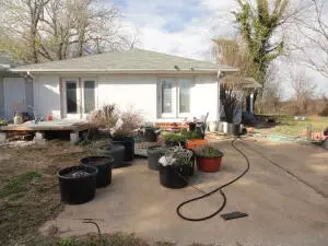 107 Nixon Hts, Marshall, AR 72650 photo 6