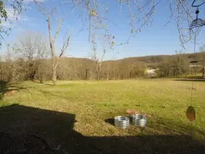 107 Nixon Hts, Marshall, AR 72650 photo 19