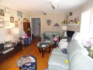 107 Nixon Hts, Marshall, AR 72650 photo 21