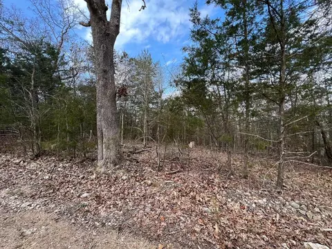 tbd Lake Haven Dr, Lead Hill, AR 72644