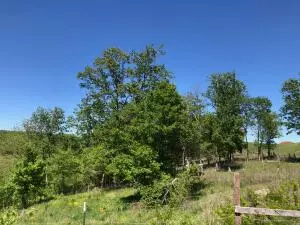 1279 Keeter Loop, Harrison, AR 72601 photo 32