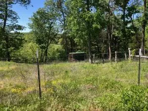 1279 Keeter Loop, Harrison, AR 72601 photo 33