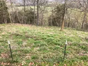 1279 Keeter Loop, Harrison, AR 72601 photo 39