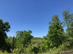 1279 Keeter Loop, Harrison, AR 72601 photo 31