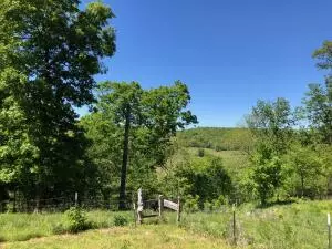 1279 Keeter Loop, Harrison, AR 72601 photo 29
