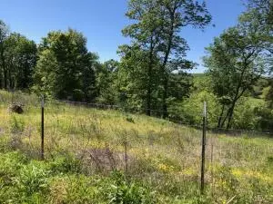 1279 Keeter Loop, Harrison, AR 72601 photo 34