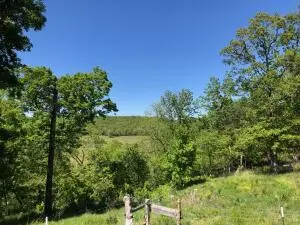 1279 Keeter Loop, Harrison, AR 72601 photo 30