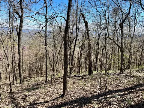 Nc 6071, Jasper, AR 72641 photo 10