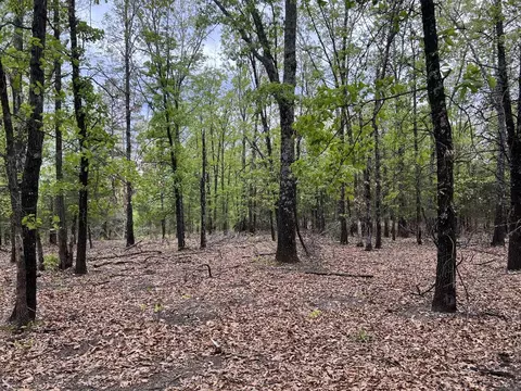 1 Eclipse Rd, Saint Joe, AR 72675