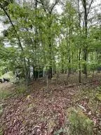 Hc 32 Box 76, Jasper, AR 72641 photo 6