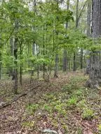 Hc 32 Box 76, Jasper, AR 72641 photo 8