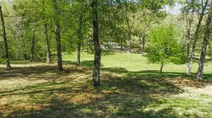 5202 Fox Run Dr, Harrison, AR 72601 photo 10