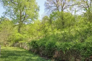 5202 Fox Run Dr, Harrison, AR 72601 photo 11