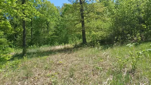 Terrapin Creek Road, Harrison, AR 72601