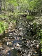 11421 N Elixir Ln, Lead Hill, AR 72644