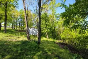 Hc 31 Box 61d, Jasper, AR 72641 photo 24