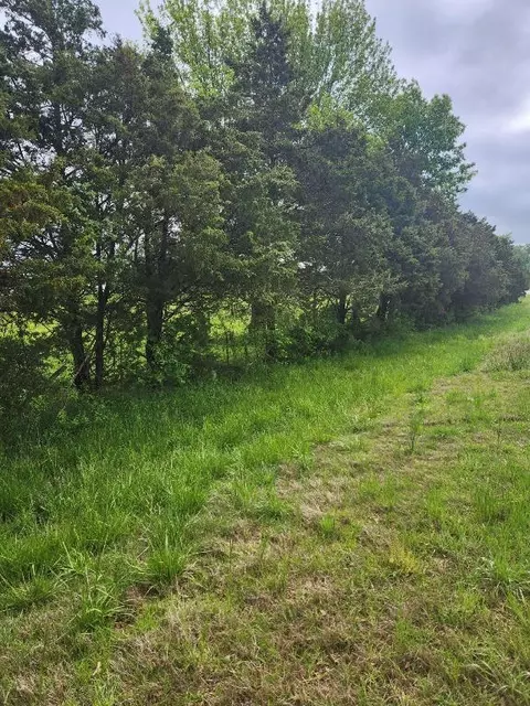 E 206 Highway, Harrison, AR 72601 photo 6