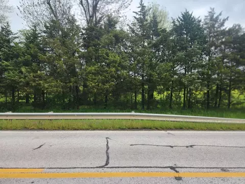 E 206 Highway, Harrison, AR 72601 photo 9