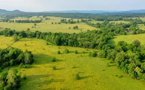 E 206 Highway, Harrison, AR 72601 photo 3