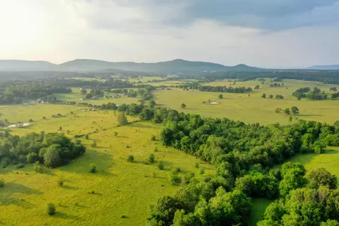 E 206 Highway, Harrison, AR 72601 photo 4
