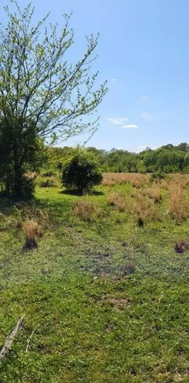 E 206 Highway, Harrison, AR 72601 photo 12