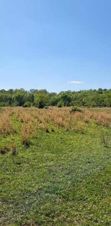 E 206 Highway, Harrison, AR 72601 photo 11