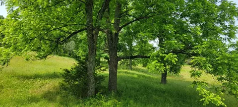 12035 Hwy 62 E, Harrison, AR 72601 photo 4
