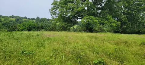 12035 Hwy 62 E, Harrison, AR 72601 photo 12