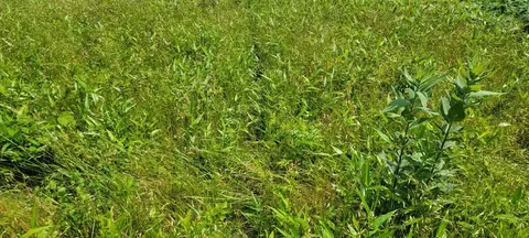 12035 Hwy 62 E, Harrison, AR 72601 photo 8