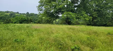 12035 Hwy 62 E, Harrison, AR 72601 photo 13