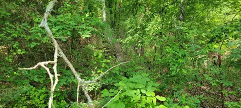 12035 Hwy 62 E, Harrison, AR 72601 photo 9