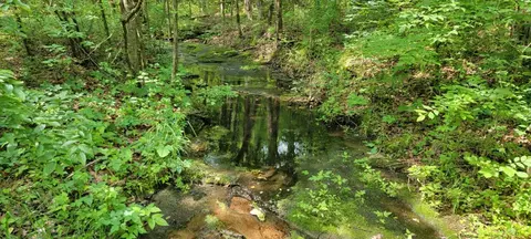 12035 Hwy 62 E, Harrison, AR 72601 photo 7