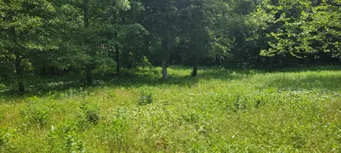 12035 Hwy 62 E, Harrison, AR 72601 photo 10