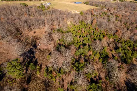 1840 Nc 1600 - Parcel B, Compton, AR 72624 photo 26