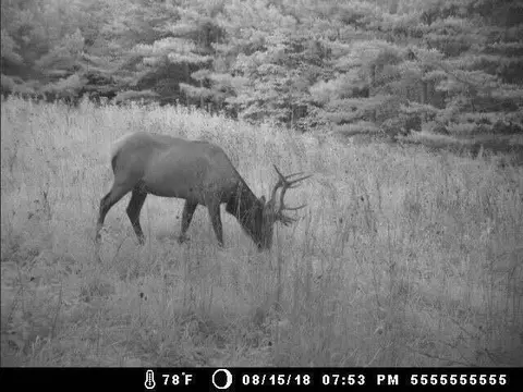 5375 Cr 933, Harrison, AR 72601 photo 58
