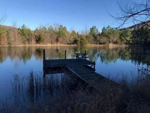 5375 Cr 933, Harrison, AR 72601 photo 8