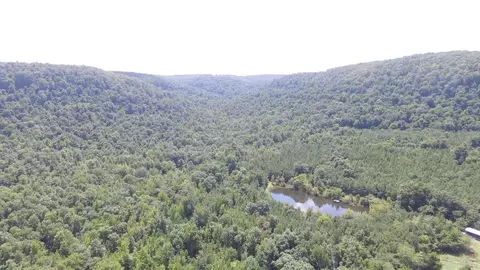 5375 Cr 933, Harrison, AR 72601 photo 10