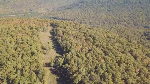 5375 Cr 933, Harrison, AR 72601 photo 53