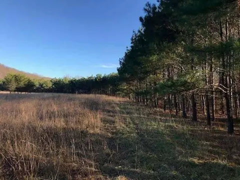 5375 Cr 933, Harrison, AR 72601 photo 54