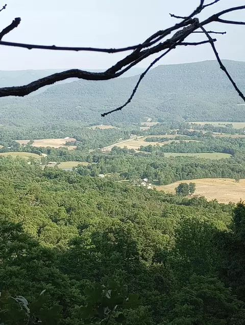 Off County Road 272, Jasper, AR 72641 photo 3