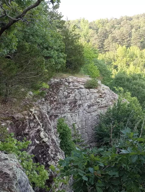 Off County Road 272, Jasper, AR 72641 photo 5